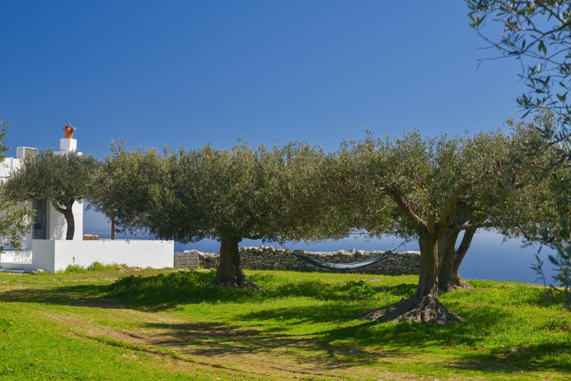 Aggelis Villa Artemonas Dış mekan fotoğraf